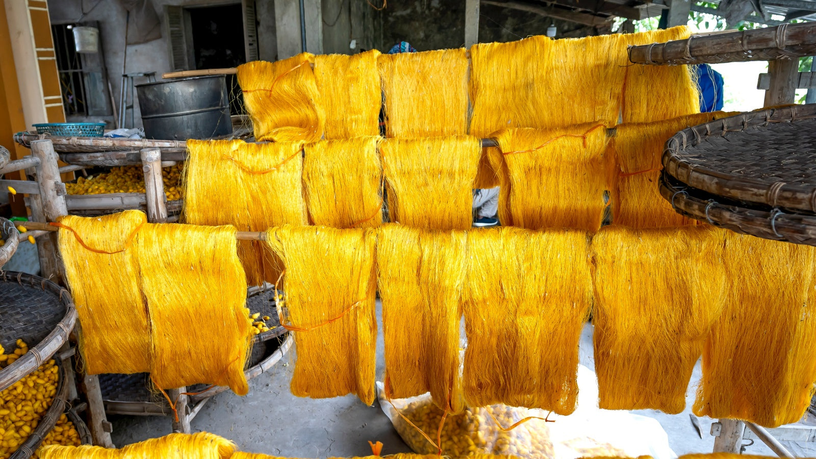 Earth Colours - The Dye Plants We Use  The Silk Chamber