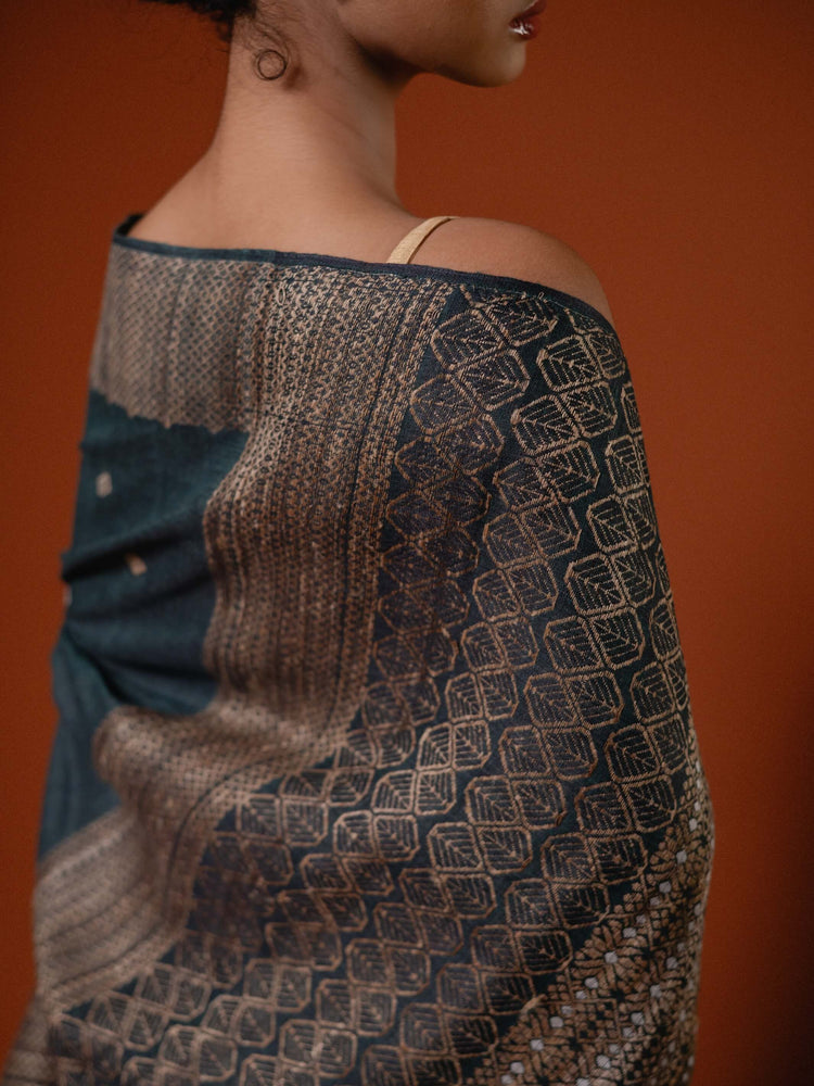 Person wearing a patterned saree with a plain background
