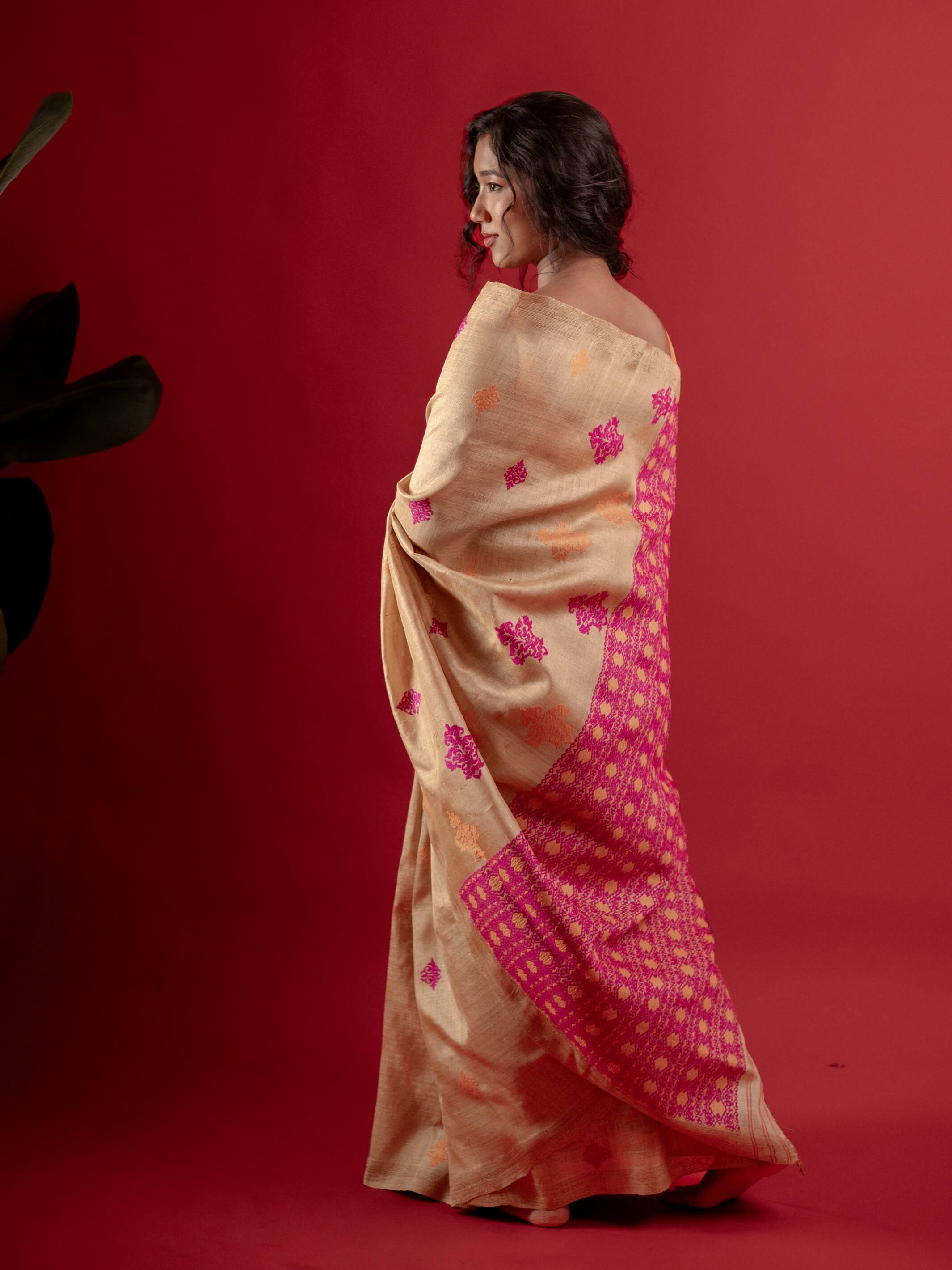 Woman wearing a traditional saree with a red background