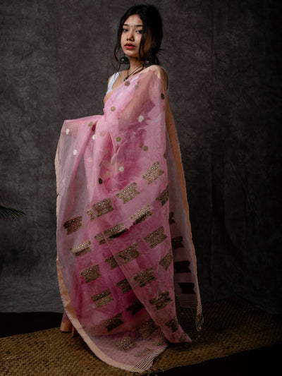 Pink Kesa Paat Silk Saree